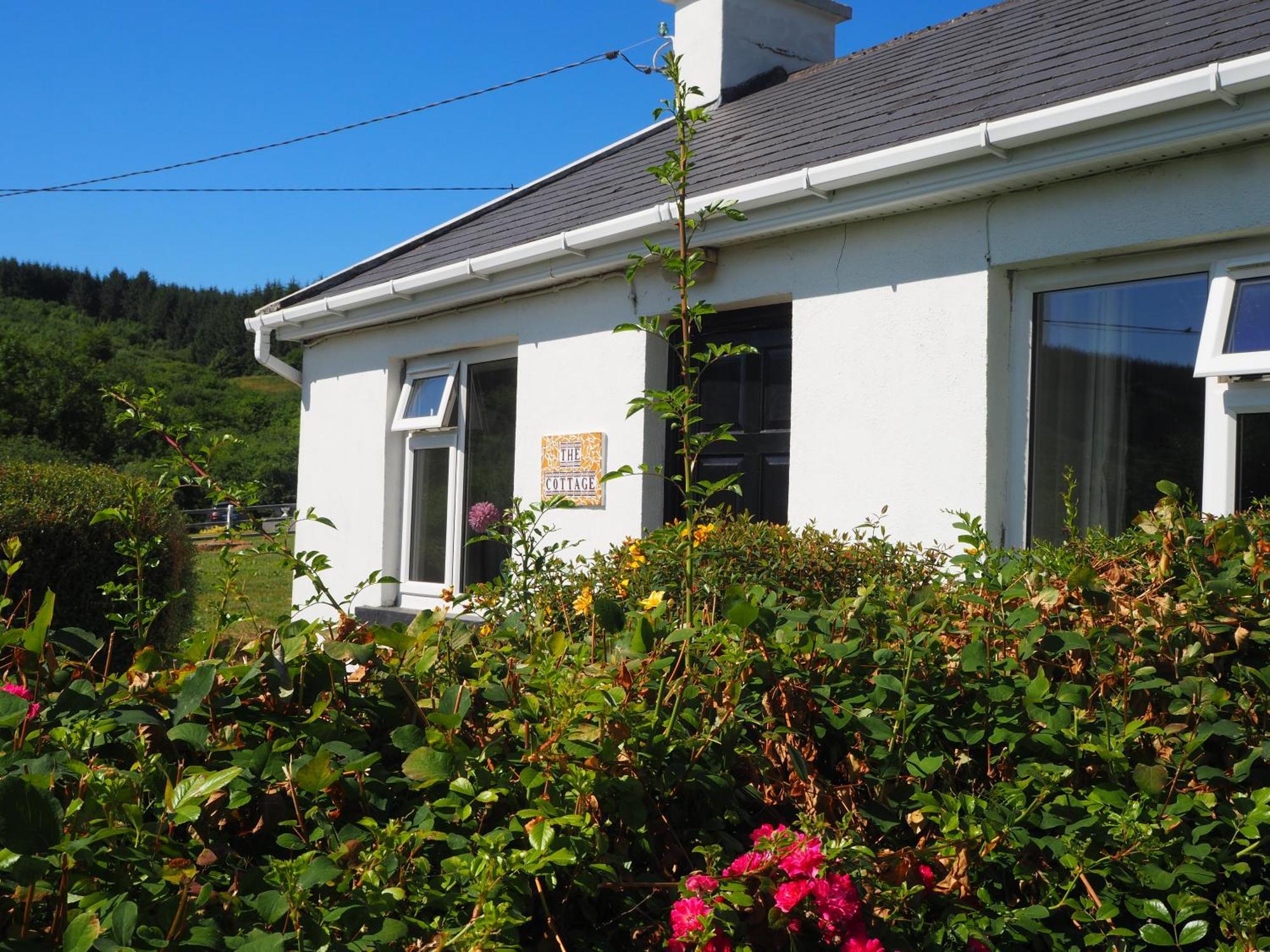 The Cottage @ Burkedale House Corofin  Extérieur photo