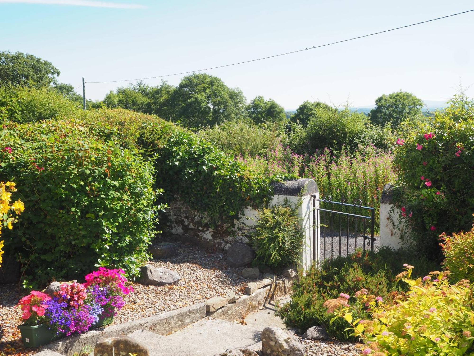 The Cottage @ Burkedale House Corofin  Extérieur photo