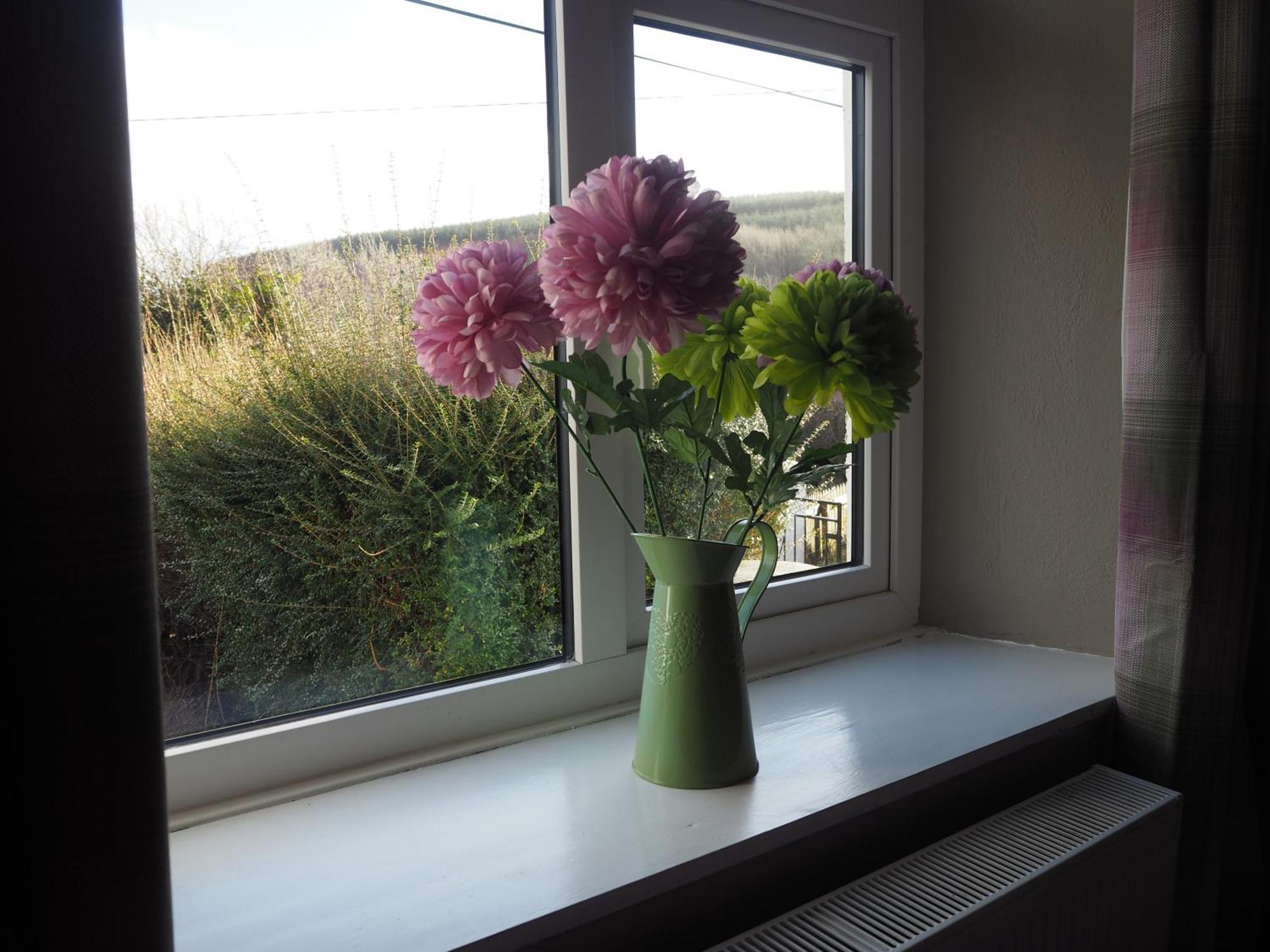 The Cottage @ Burkedale House Corofin  Extérieur photo
