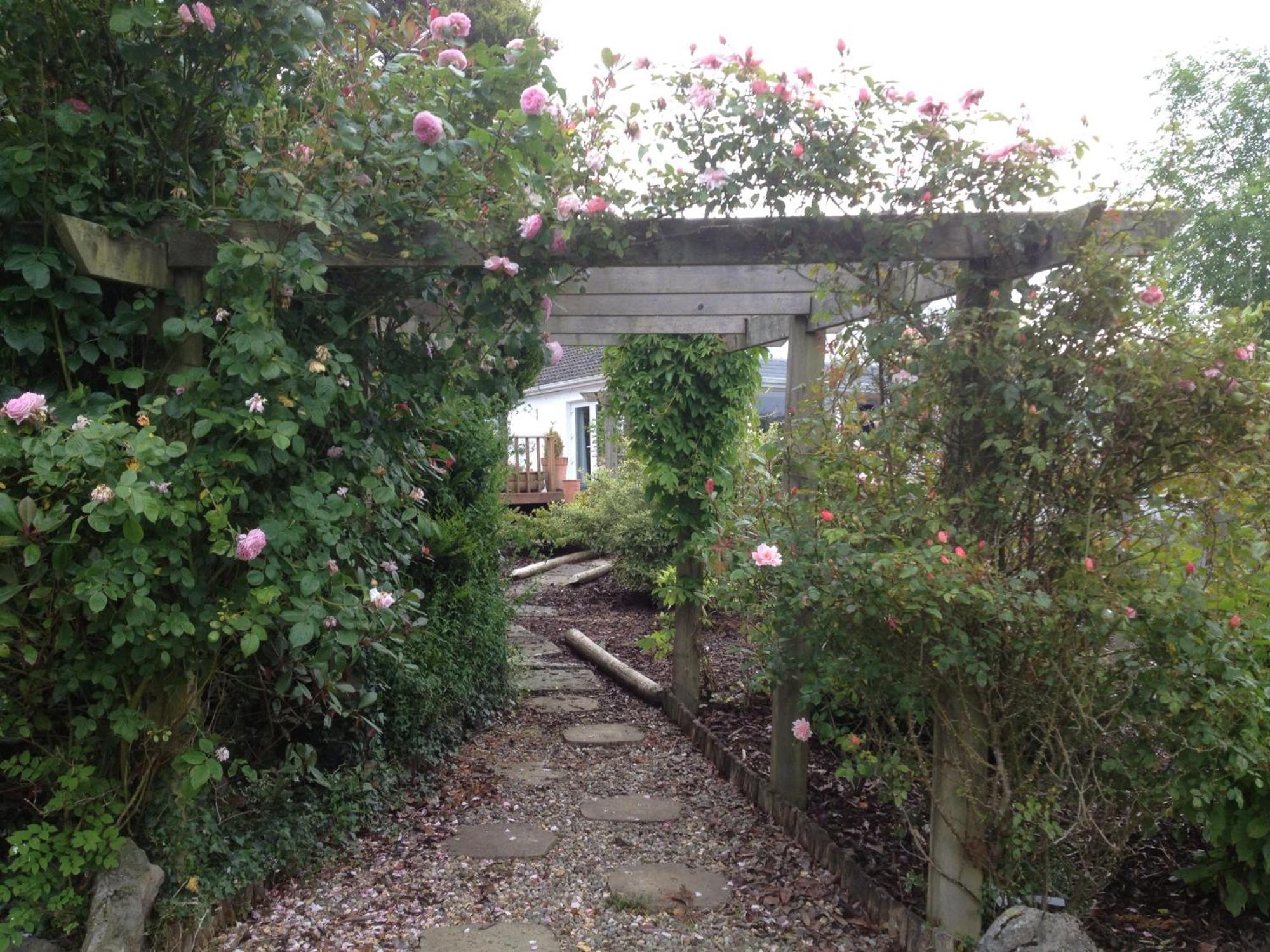 The Cottage @ Burkedale House Corofin  Extérieur photo