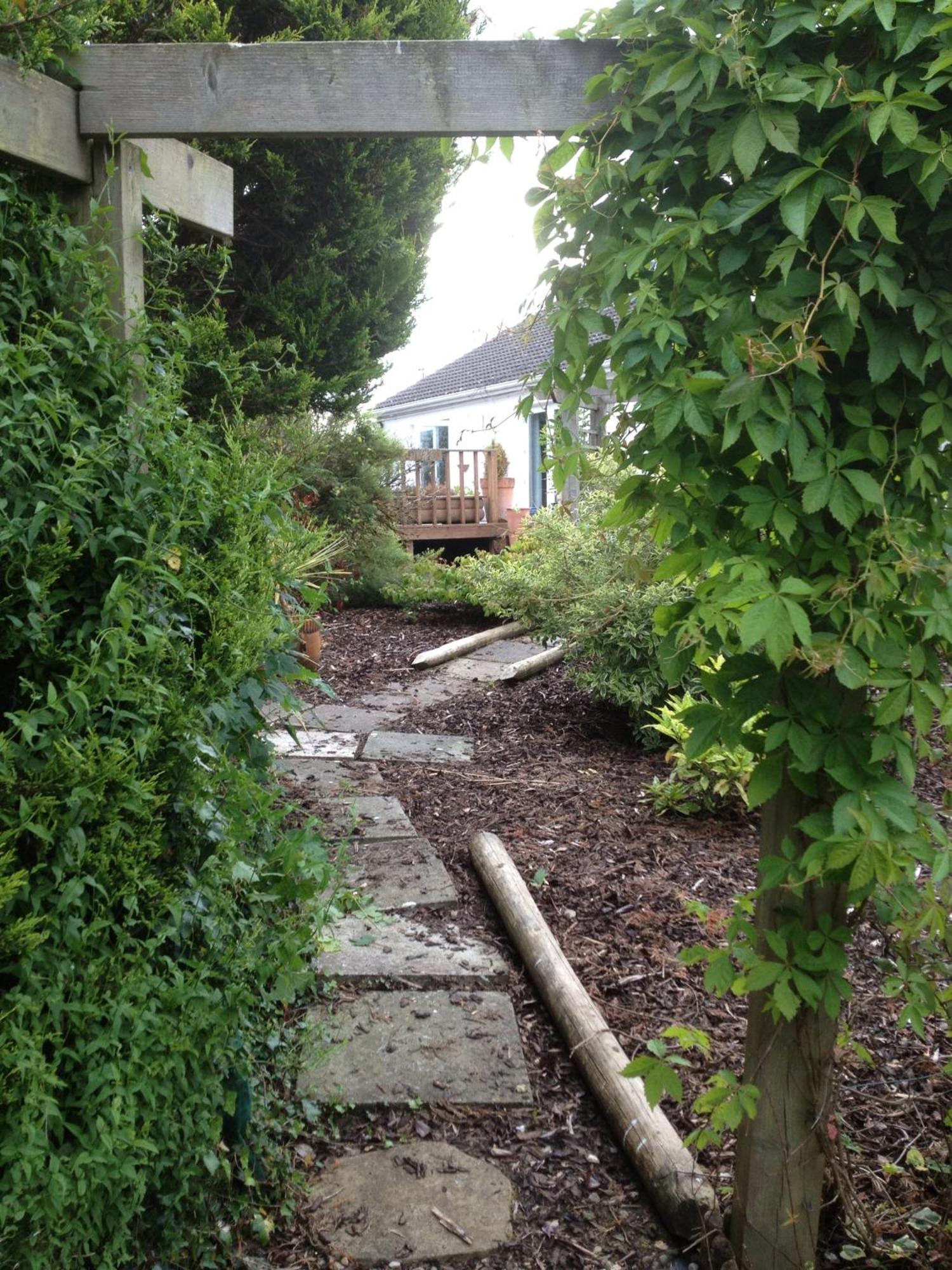 The Cottage @ Burkedale House Corofin  Extérieur photo